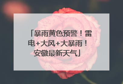 暴雨黄色预警！雷电+大风+大暴雨！安徽最新天气