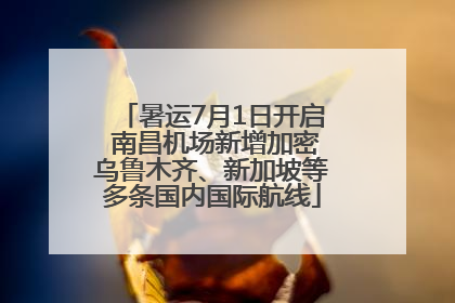 暑运7月1日开启 南昌机场新增加密乌鲁木齐、新加坡等多条国内国际航线