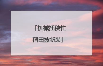 机械插秧忙 稻田披新装