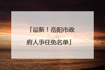 最新！岳阳市政府人事任免名单