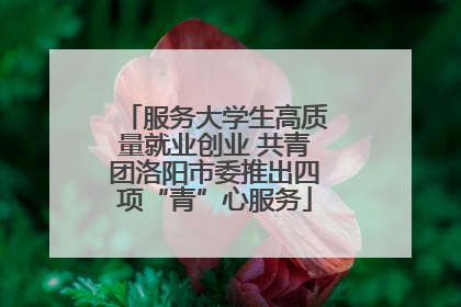 服务大学生高质量就业创业 共青团洛阳市委推出四项“青”心服务