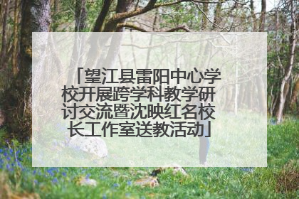 望江县雷阳中心学校开展跨学科教学研讨交流暨沈映红名校长工作室送教活动