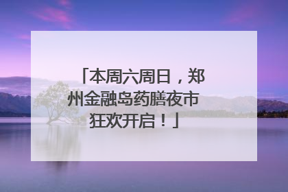 本周六周日，郑州金融岛药膳夜市狂欢开启！