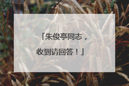 朱俊亭同志，收到请回答！