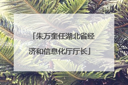 朱万奎任湖北省经济和信息化厅厅长
