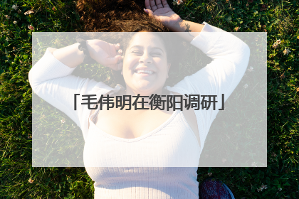 毛伟明在衡阳调研