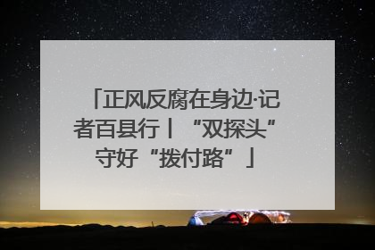 正风反腐在身边·记者百县行丨“双探头”守好“拨付路”