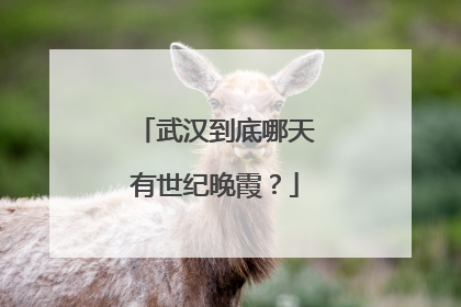 武汉到底哪天有世纪晚霞？