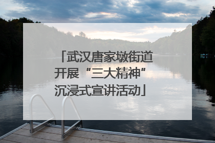 武汉唐家墩街道开展“三大精神”沉浸式宣讲活动