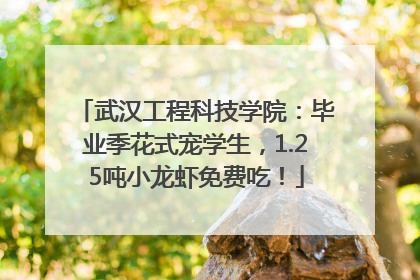 武汉工程科技学院：毕业季花式宠学生，1.25吨小龙虾免费吃！