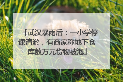 武汉暴雨后：一小学停课清淤，有商家称地下仓库数万元货物被泡