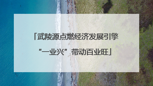 武陵源点燃经济发展引擎 “一业兴”带动百业旺