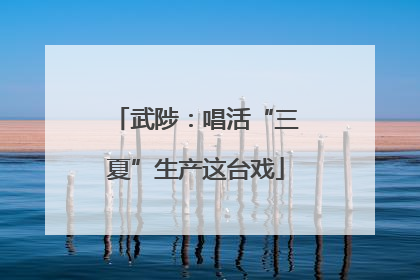 武陟：唱活“三夏”生产这台戏