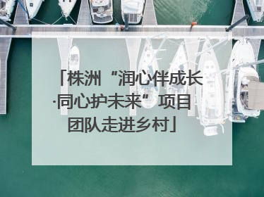 株洲“润心伴成长·同心护未来”项目团队走进乡村