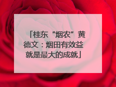 桂东“烟农”黄德文：烟田有效益就是最大的成就