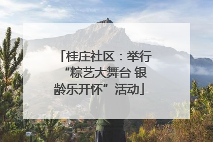 桂庄社区：举行“粽艺大舞台 银龄乐开怀”活动