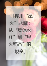 桦川“星火”永耀：从“集体农庄”到“星火稻香”的蜕变