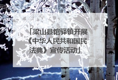 梁山县馆驿镇开展《中华人民共和国民法典》宣传活动