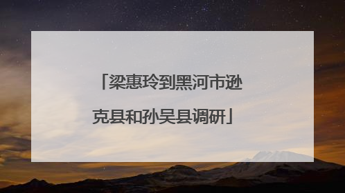 梁惠玲到黑河市逊克县和孙吴县调研