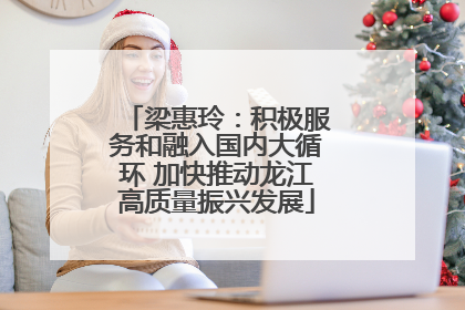 梁惠玲：积极服务和融入国内大循环 加快推动龙江高质量振兴发展