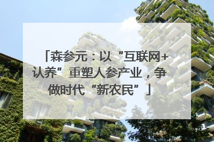 森参元：以“互联网+认养”重塑人参产业，争做时代“新农民”