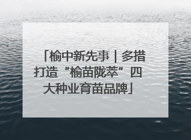 榆中新先事｜多措打造“榆苗陇萃”四大种业育苗品牌