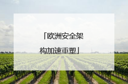 欧洲安全架构加速重塑