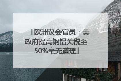 欧洲议会官员：美政府提高钢铝关税至50%毫无道理