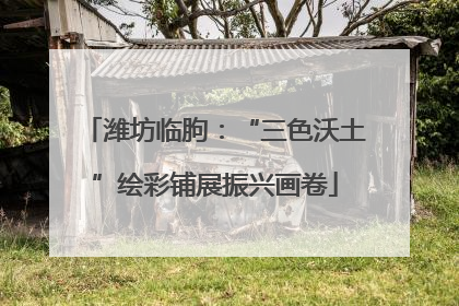 潍坊临朐：“三色沃土”绘彩铺展振兴画卷