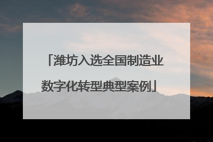 潍坊入选全国制造业数字化转型典型案例