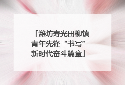 潍坊寿光田柳镇青年先锋“书写”新时代奋斗篇章