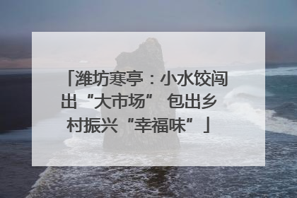 潍坊寒亭：小水饺闯出“大市场” 包出乡村振兴“幸福味”