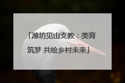 潍坊见山支教：美育筑梦 共绘乡村未来