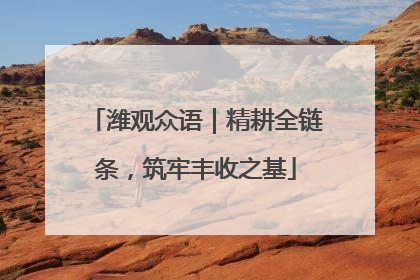 潍观众语｜精耕全链条，筑牢丰收之基