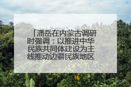 潘岳在内蒙古调研时强调：以推进中华民族共同体建设为主线推动边疆民族地区高质量发展