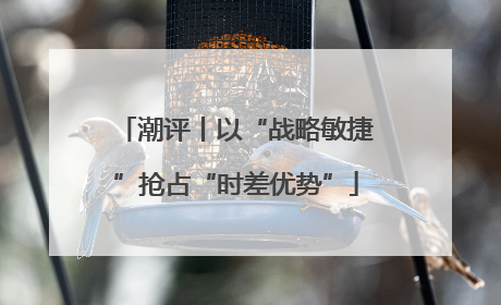 潮评丨以“战略敏捷”抢占“时差优势”
