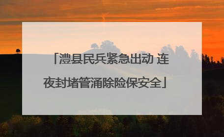 澧县民兵紧急出动 连夜封堵管涌除险保安全