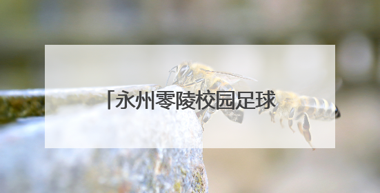 永州零陵校园足球盛会落幕，36场对决点燃青春热血