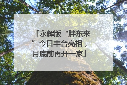 永辉版“胖东来”今日丰台亮相，月底前再开一家