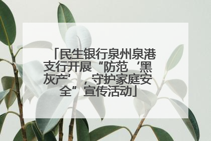 民生银行泉州泉港支行开展“防范‘黑灰产’，守护家庭安全”宣传活动