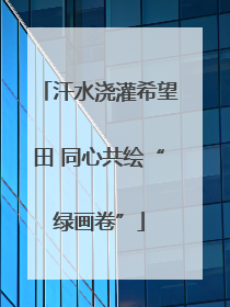 汗水浇灌希望田 同心共绘“绿画卷”