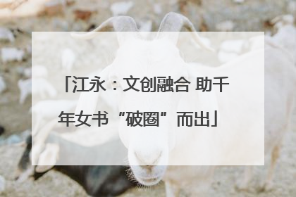 江永：文创融合 助千年女书“破圈”而出