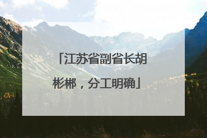 江苏省副省长胡彬郴，分工明确