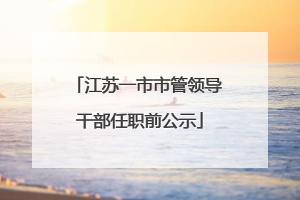 江苏一市市管领导干部任职前公示