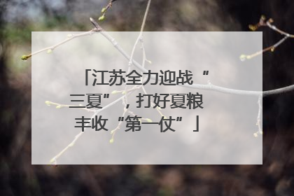 江苏全力迎战“三夏”，打好夏粮丰收“第一仗”
