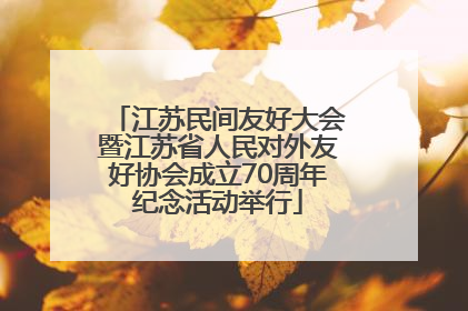 江苏民间友好大会暨江苏省人民对外友好协会成立70周年纪念活动举行