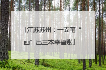 江苏苏州：一支笔“画”出三本幸福账