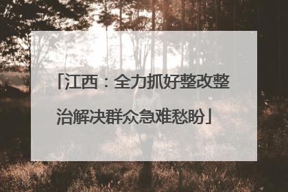 江西：全力抓好整改整治解决群众急难愁盼