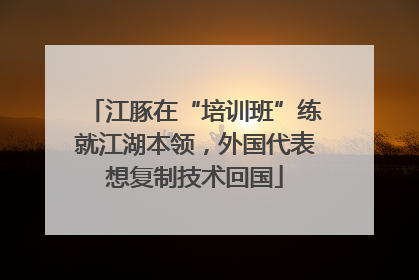 江豚在“培训班”练就江湖本领，外国代表想复制技术回国