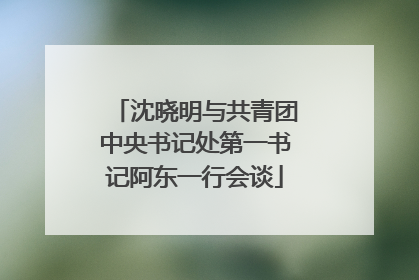 沈晓明与共青团中央书记处第一书记阿东一行会谈